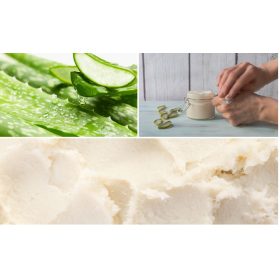 Aloe Vera Vaj 100 ml – Mélyhidratáló és Nyugtató Bőrápolás   Aloe Vera Vaj 100 ml – Mélyhidratáló és Nyugtató Bőrápolás