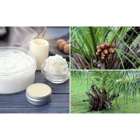   Természetes Babassu Olaj 100 ml – Hidratál és Regenerál