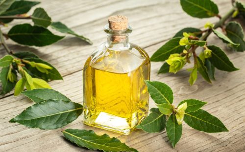 Babérolaj szűz 100ml