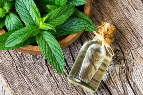 Borsmenta hidrolátum 100 ml
