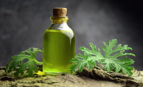 Citronella természetazonos olaj 10 ml – Frissesség és Természetes Tisztítás
