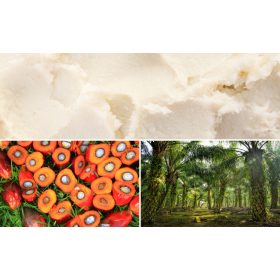   Finomított Pálmaolaj 1000 ml – Hidratáló és Bőrvédő Kozmetikumokhoz