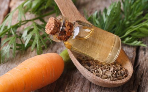 Sárgarépamag Olaj 100 ml – Természetes fiatalosság és hidratálás